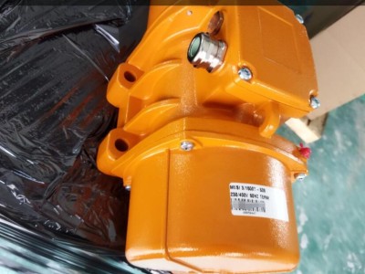 意大利Italvibras MTF 15/700-S02振动电机 免维护图3