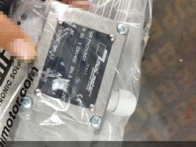 意大利 Mini Motor 齿轮电机 BCE200024 MP - 125 B3库存供应图2