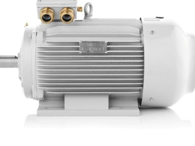 意大利Nicolini E-Motor 11.0 kW - 400/690V三相异步电机图2