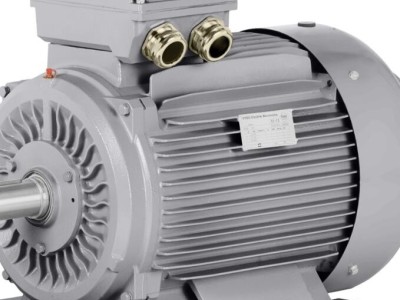 意大利Nicolini E-Motor 11.0 kW - 400/690V三相异步电机图3