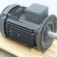 Elmot-Schafer TE Q3H FA 100 L4D三相异步电机