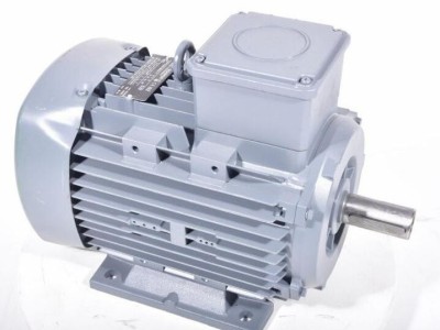 Elmot-Schafer TE Q3H FA 100 L4D三相异步电机图2