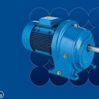 英国Renold JPM26蜗轮蜗杆减速箱 高扭矩