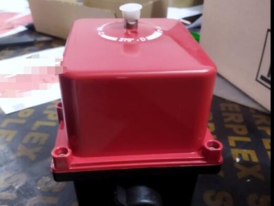 法国VALPES ER100.90A.G00电动执行器  IP65 防护图4