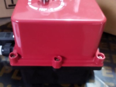 法国VALPES ER100.90A.G00电动执行器  IP65 防护图2