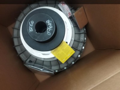 意大利Transfluid 29CKRGW液力偶合器 双出轴结构图2