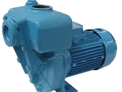 意大利GMP B1 1/2KQ-A自吸式电动泵图2