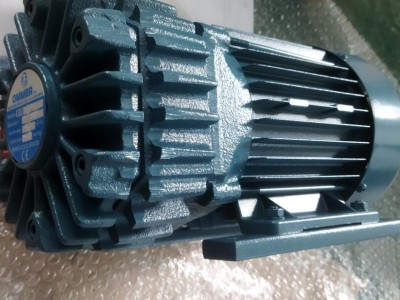 意大利OMMER BVS 10 干式真空泵图2