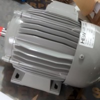 德国HEW DCEx 112 MP/4 三相异步电机