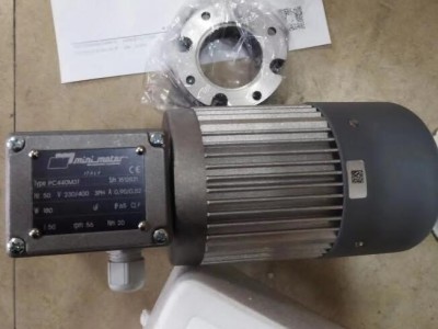 意大利Mini Motor PAE系列行星齿轮减速电机图2