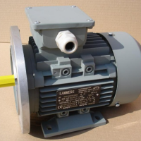LAMMERS 1TZ9503-2CA2 三相异步电机