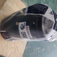 德国SITEMA K 125 30液压式安全捕捉器